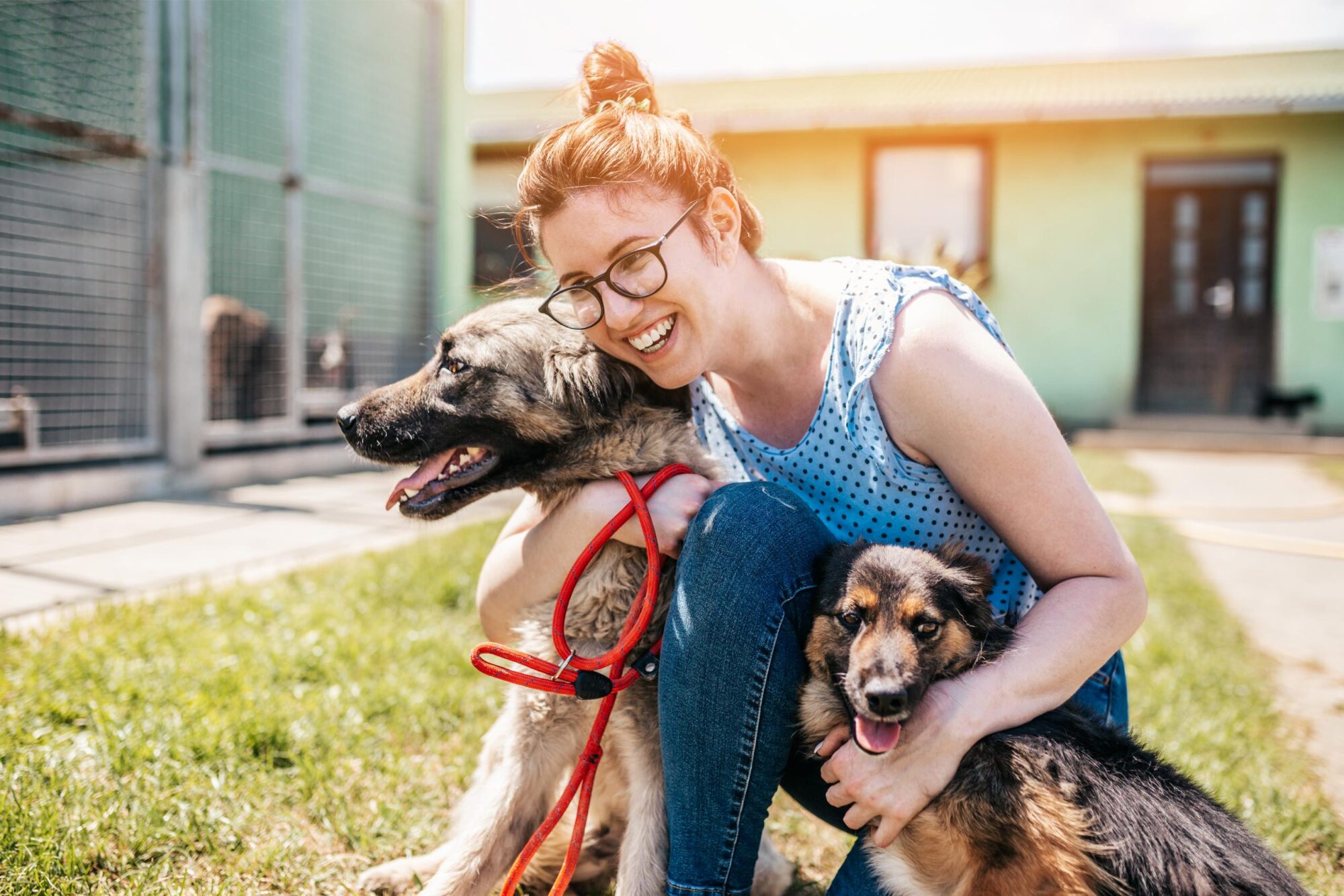 Pet-Friendly Volunteer Opportunities in Nashville: Giving Back to the Community with Your Pet by Your Side