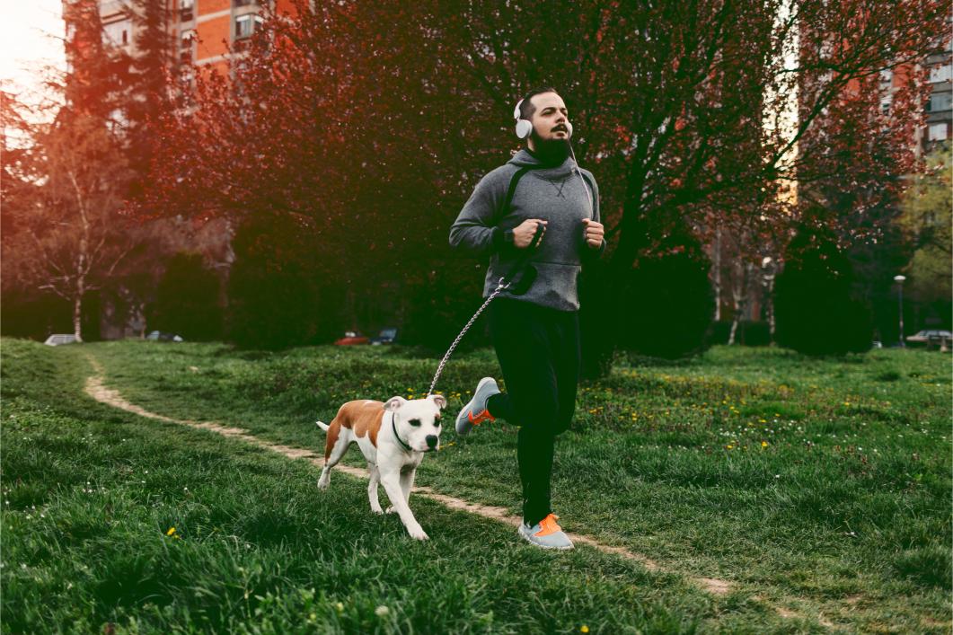 Urban Pet Fitness: Keeping Nashville Pets Active in the City